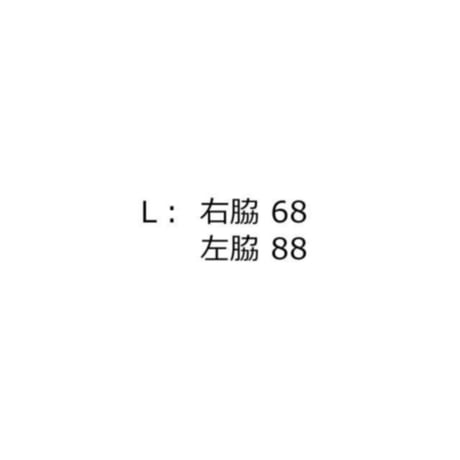 4/10、2/3Instalive　Eimee Law2026ss　アニマルフォト＆刺繡ptイレギュラーヘムレースTOPS
