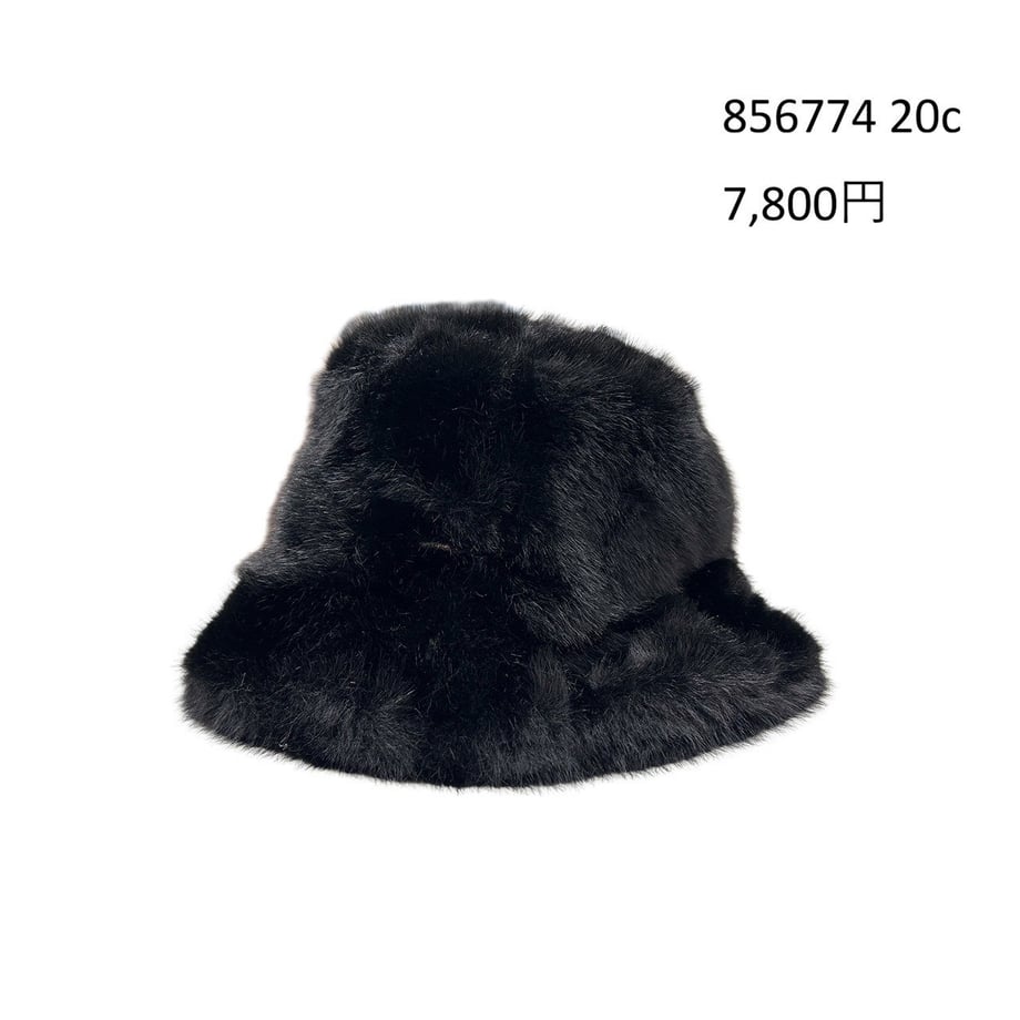 6a0c266e9b0fd52cb24d65ad