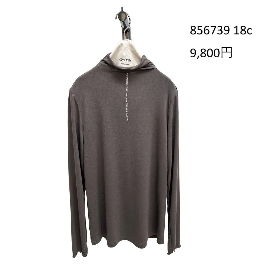 6a0c20fca7ffd4176fc24601