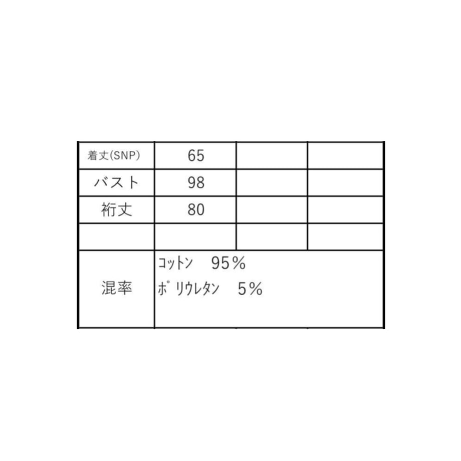 6a06e1209353251d39266728