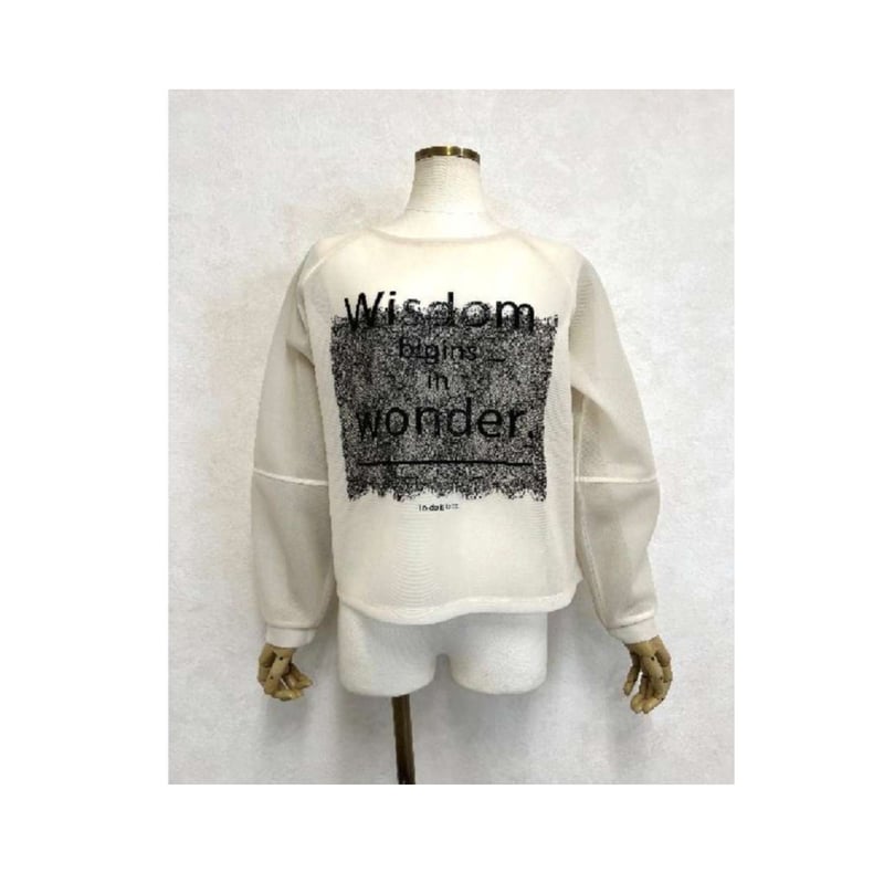 9/12、5/19 Instalive DOS DIOSAS ダンボールシアートップス 202