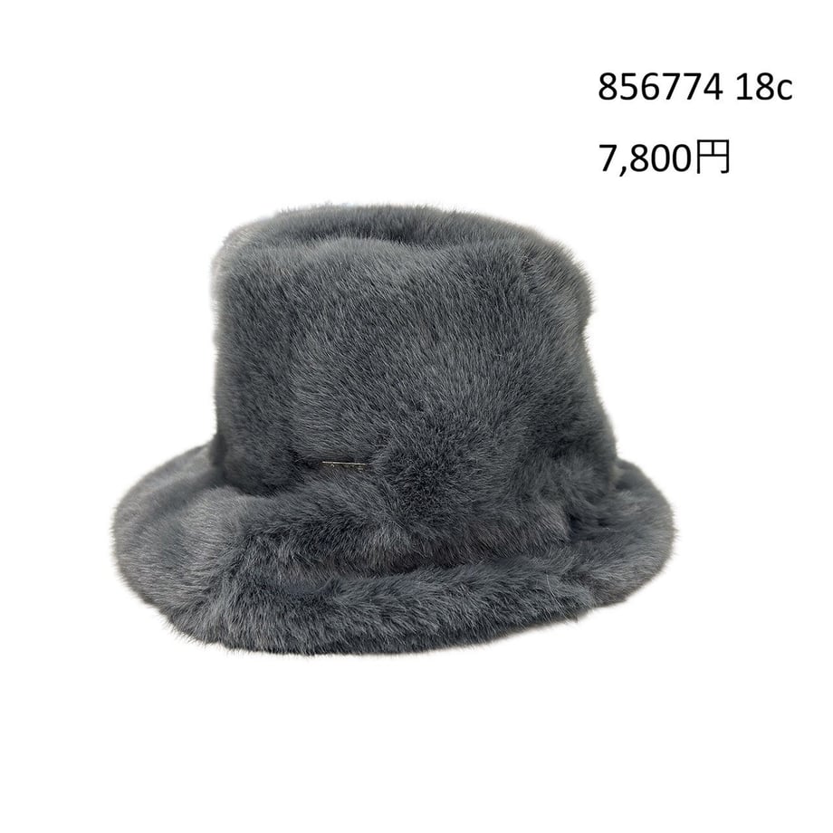 6a0c266e9b0fd52cb24d65ad
