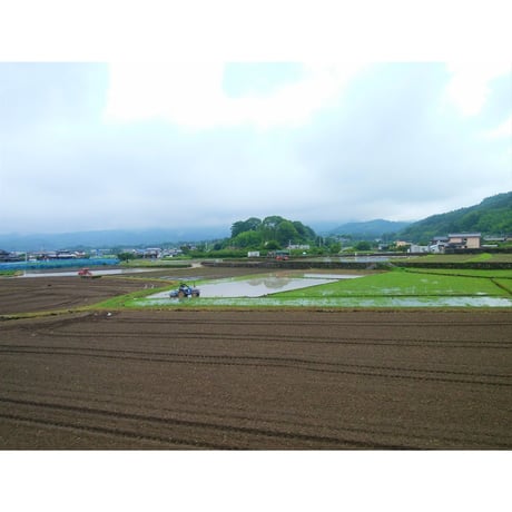 7年産 楠森堂のお米「ひのひかり」2kg 【完売しました】