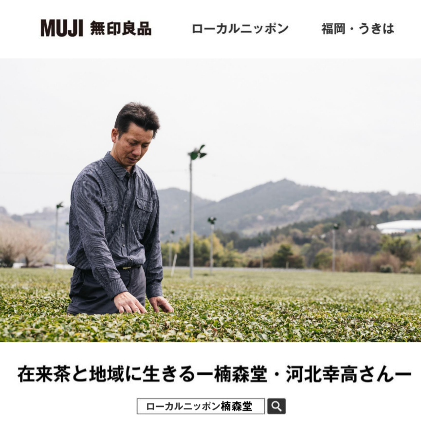 実生在来茶 挽茶】冠挽茶 (かぶせひきちゃ) ／ パウダー ❲粉末茶