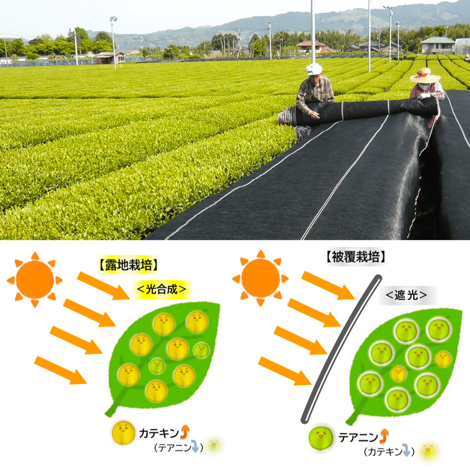 5d91aa595b61b464c2a30f19