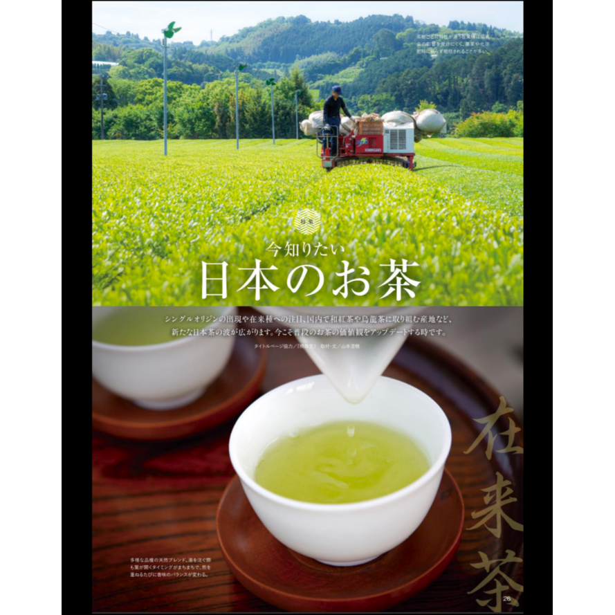 実生 在来茶】蔵出し煎茶〈唐津七山・手漉和紙ギフトボックス 実生 在来茶】蔵出し煎茶〈唐津七山・手漉和紙ギフトボックス