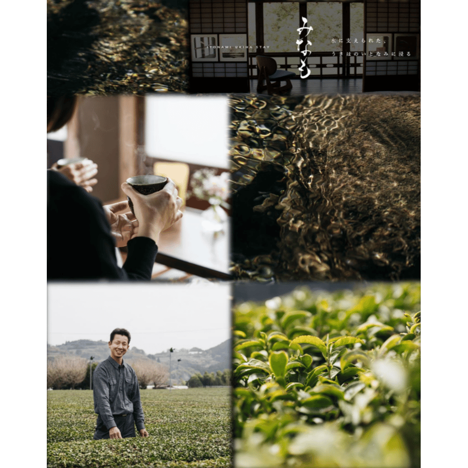 5d91abef220e75402cfba73f