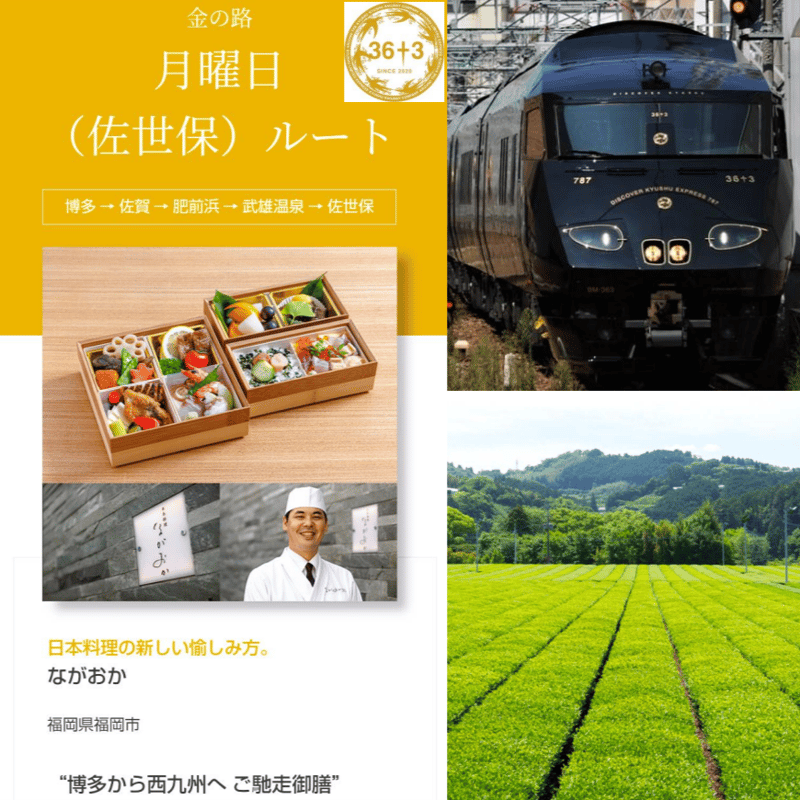 実生 在来茶】煎茶 | 楠森堂 【在来種のお茶】オンラインストア