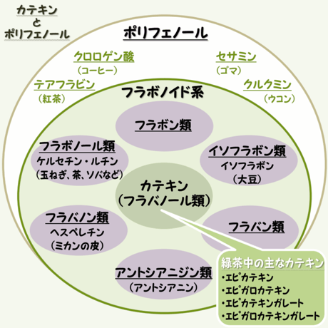【実生 在来茶】上煎茶
