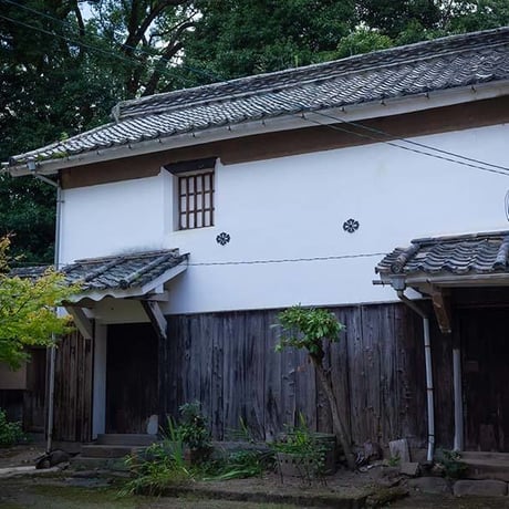 【実生 在来茶】蔵出し煎茶