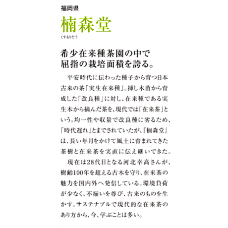 【実生 在来茶】蔵出し煎茶〈唐津七山・手漉和紙ギフトボックス入り〉