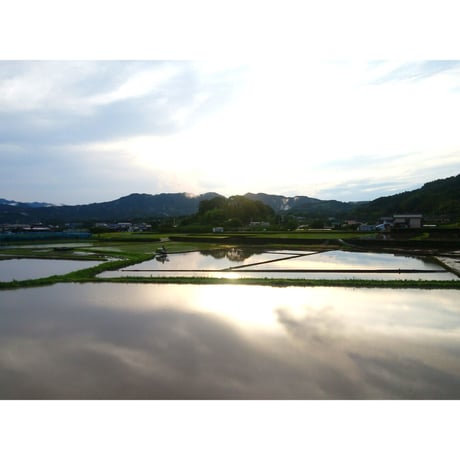 7年産 楠森堂のお米「ひのひかり」2kg 【完売しました】