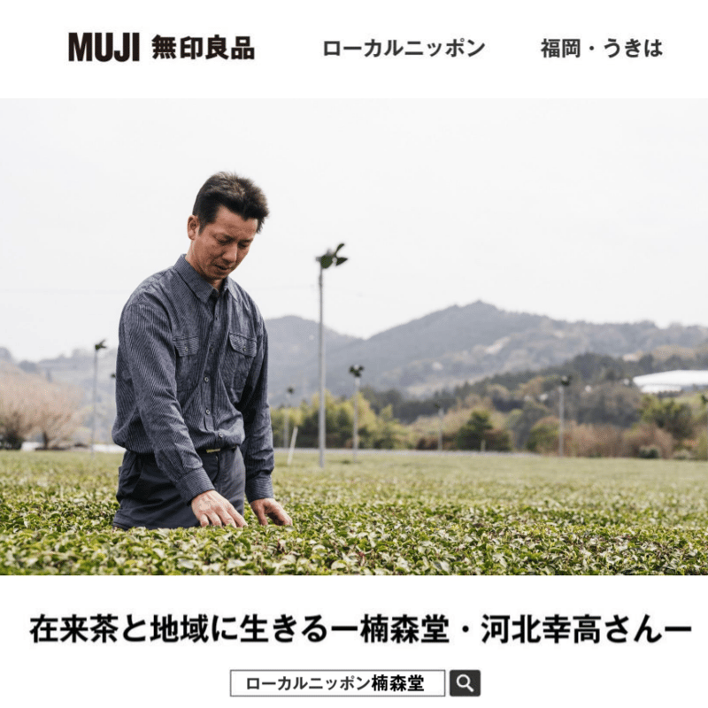 実生 在来茶】蔵出し煎茶 | 楠森堂 【在来種のお茶】オンライン