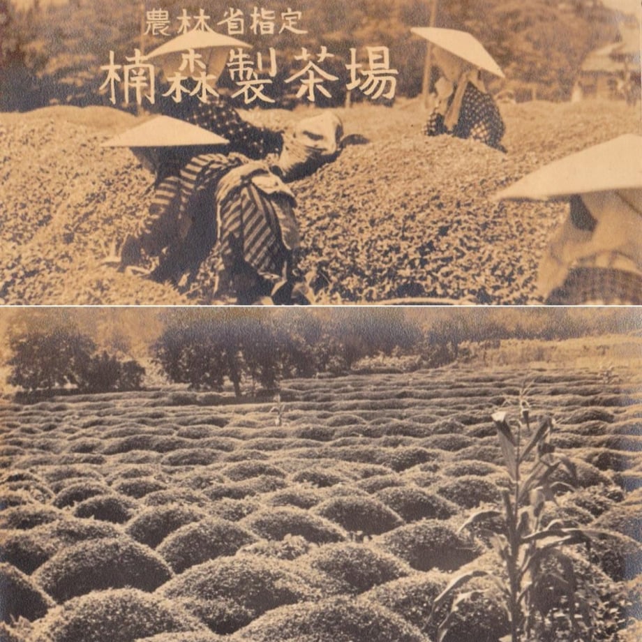 5d91ab8a745e6c2ba008789e