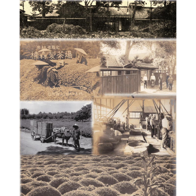 【中古】 穀物大作戦！ 特許料理展開レシピ・玄米の驚くべき真実/ブログハウス/上條貴子 Amazon.co.jp: 上條 貴子: 本