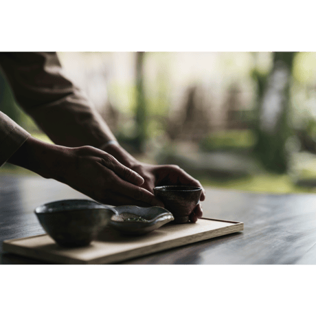 【実生 在来茶】特上煎茶
