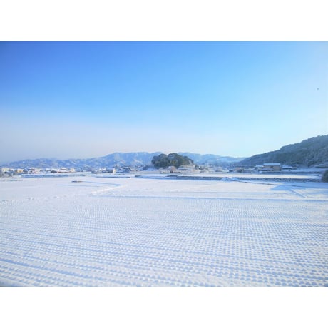 7年産 楠森堂のお米「ひのひかり」2kg 【完売しました】