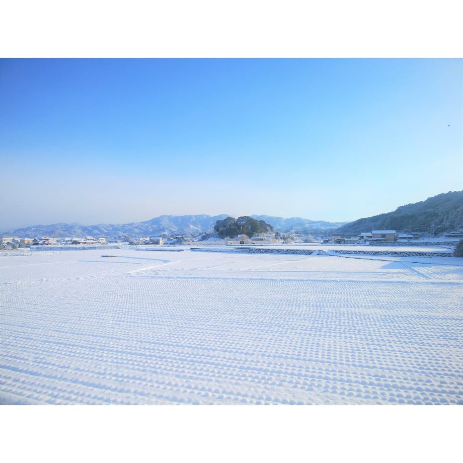 63c4efc8a37f72111ed11373