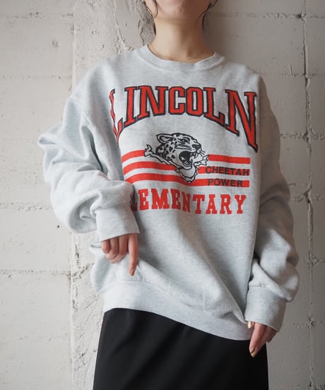 FRUIT OF THE LOOM LINCOLIN Print Sweat LGR RE
