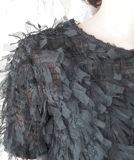 Tape Shaggy × Sheer Shortsleave Tops BK