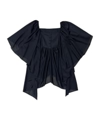Flared Sleeve Sheer Blouse BK