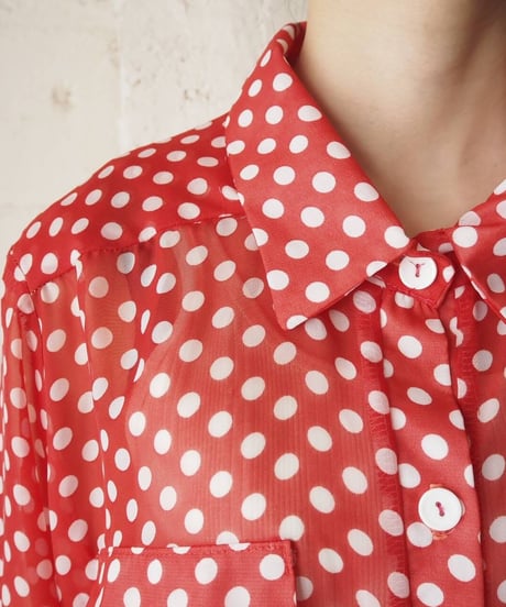 Back Open  Dot Sheer Shirt RE