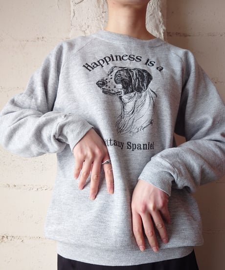 Brittany Spaniel Print Sweat GR
