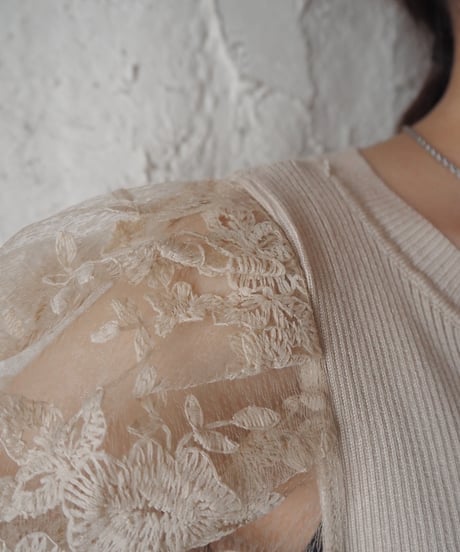 Flower Lace Sheer×Rib Knit Tops BE