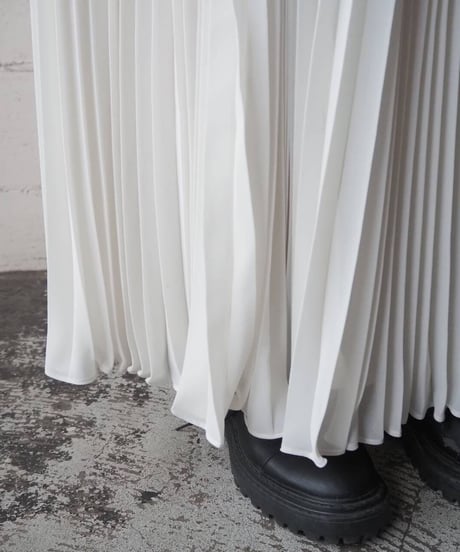 Pleated Sheer Skirt WH