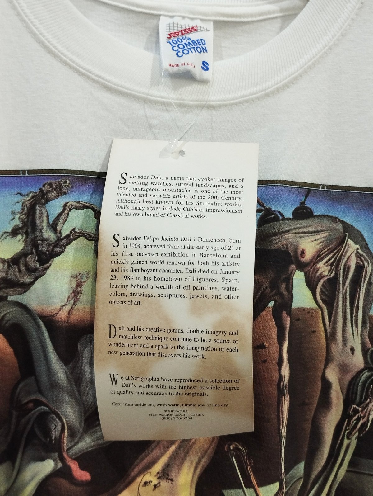 1990's Dead Stock USA Salvador Dali Tee 夜のメクラグモ