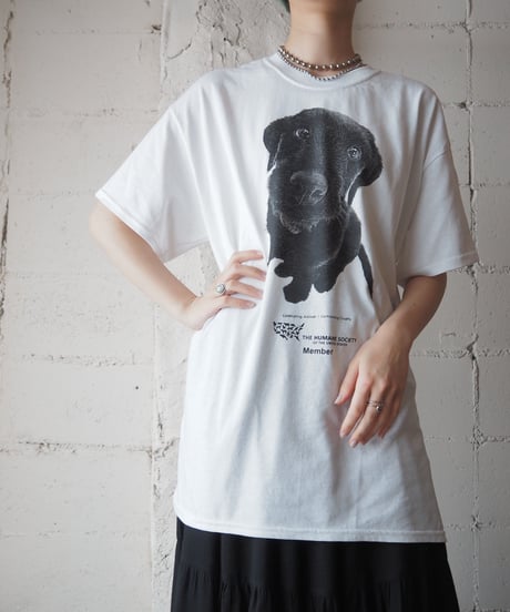 THE HVMANE SOCIETY Dog Print Tee WH BK