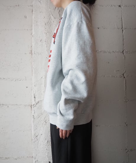 FRUIT OF THE LOOM LINCOLIN Print Sweat LGR RE