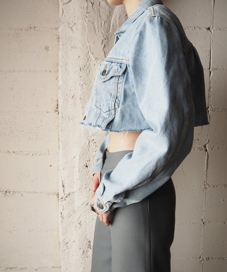Remake Cropped Denim Jacket LBL