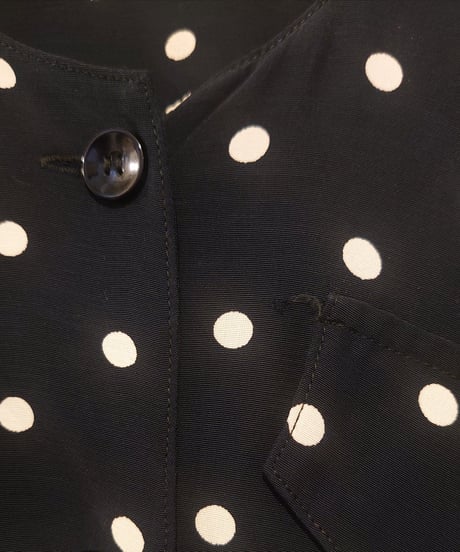 Collarless Dot Dress BKWH