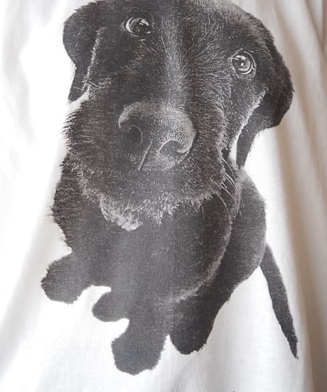 THE HVMANE SOCIETY Dog Print Tee WH BK