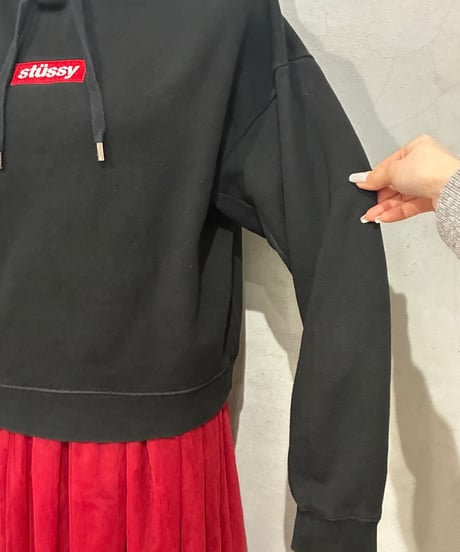 stussy Box Logo Hoodie BK