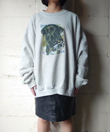 LABLADOR RETRIEVER Print Sweat GR