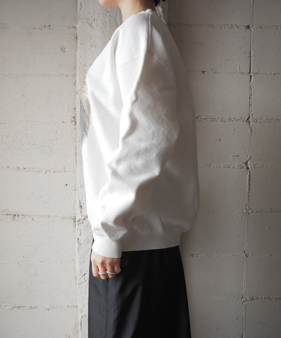 696dc4437a275c3cb29f10ff