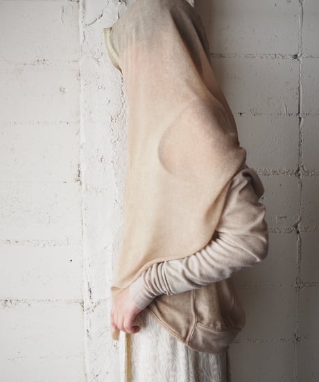 Rib Sleeve Sheer Hoodie BE