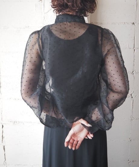 Sheer Dot Long Sleeve Blouse BK