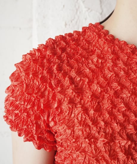 Short Sleeve Popcorn Tops RE