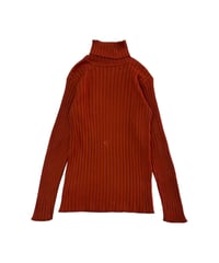 Rib Turtle Neck Knit TER