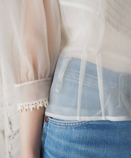 Round Collar Sheer Lace Blouse IV