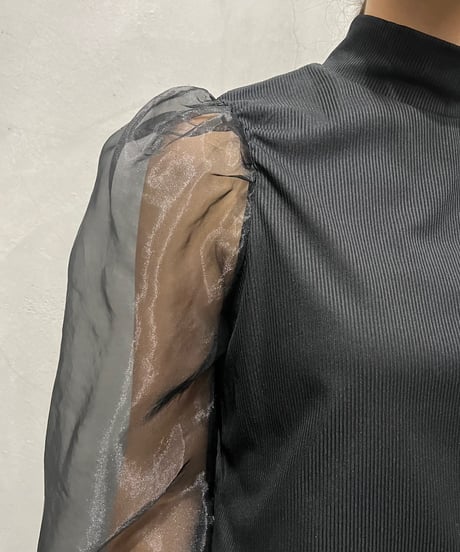 Sheer Sleeve High Neck Tops BK