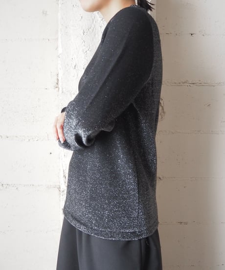 Crew Neck Lame Sweater BKSV