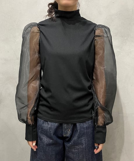 Sheer Sleeve High Neck Tops BK