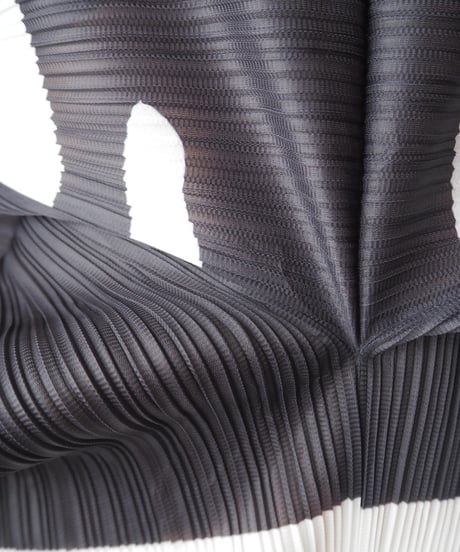 Bicolor Pattern Pleated Dress BKWH