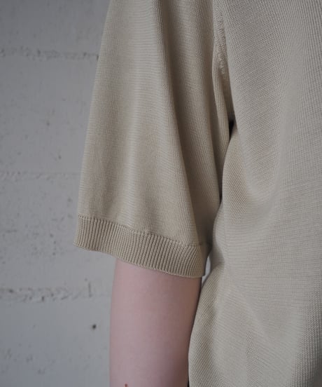Short Sleeve Silk Polo Knit BE