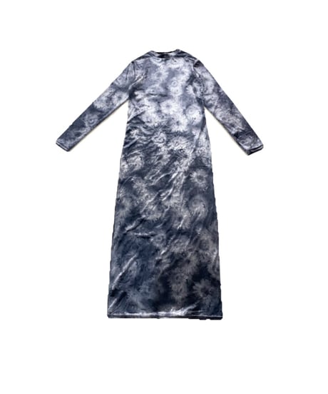 Shadow Flower Print Velour Dress GR