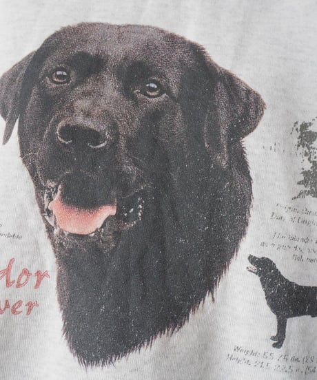 Dog Print Sweat LGR